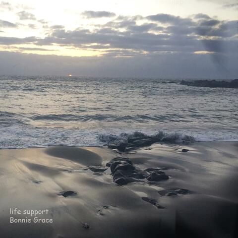 life support (Acoustic)