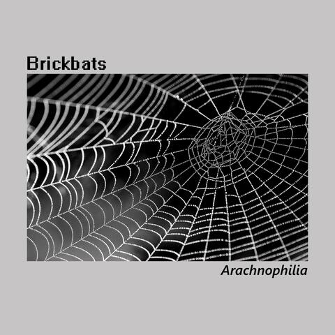 Arachnophilia
