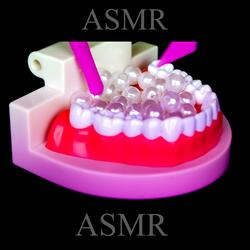 ASMR Dentist