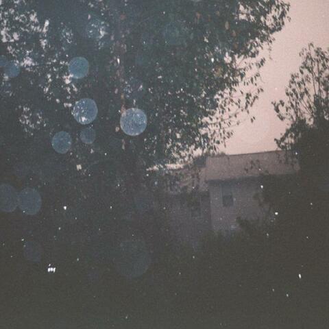 Ruminate