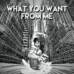 What You Want From Me