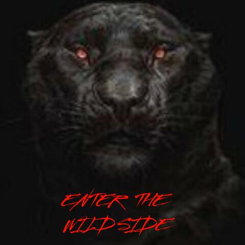 Enter The Wild Side