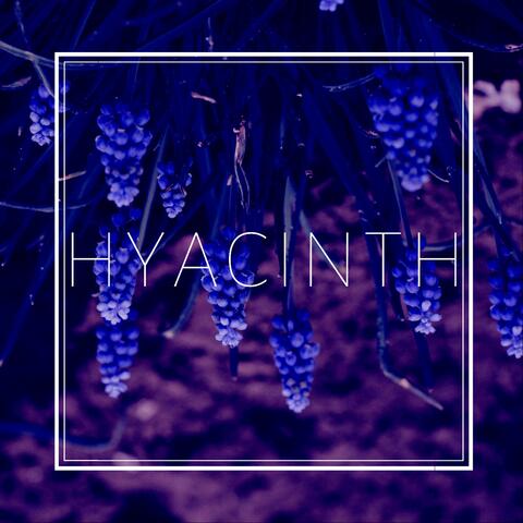 Hyacinth
