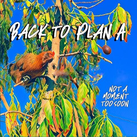 Back to Plan A