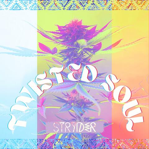 Twisted Soul
