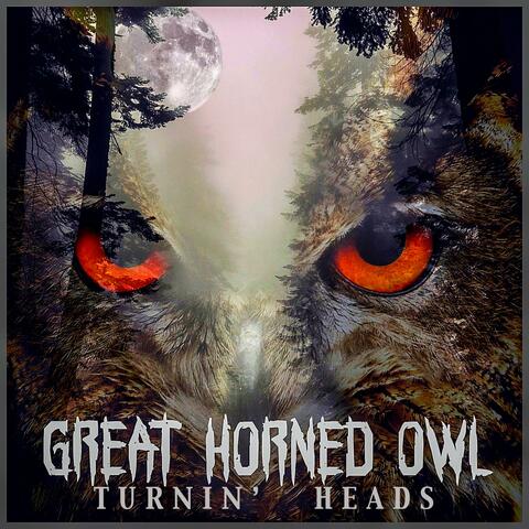 Great Horned Owl