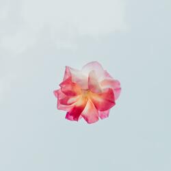 Breathe