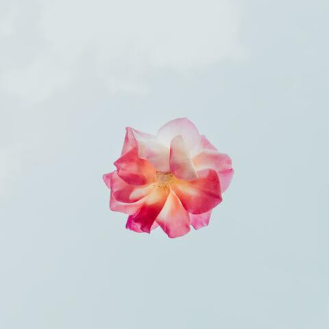 Breathe
