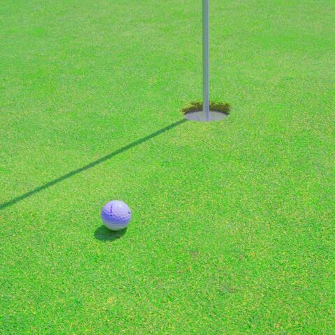 play both fairways