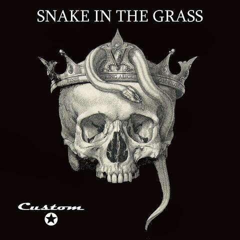 Snake In The Grass