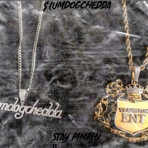 Stay Pimpin
