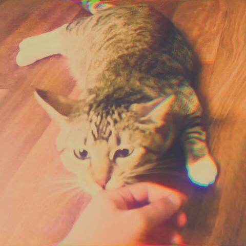 cat_and_m0use.exe