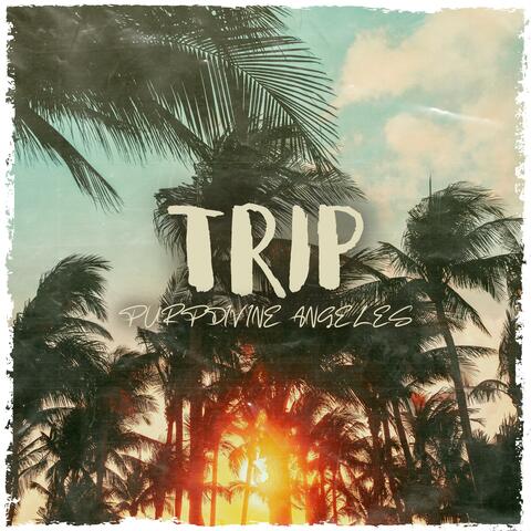 TRIP (feat. Angeles)