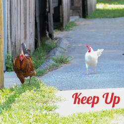 Keep Up