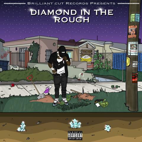 Diamond In The Rough