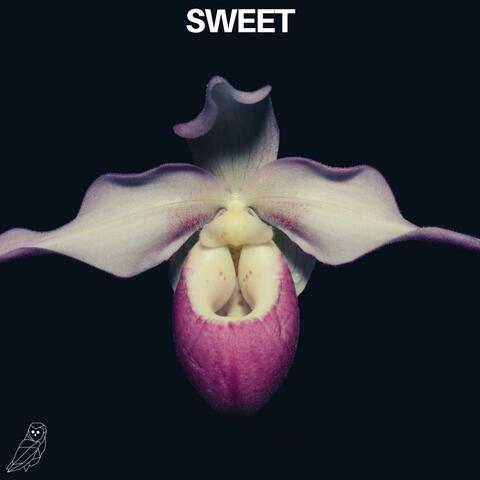 Sweet (feat. Ædya)