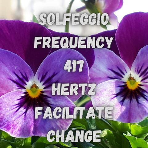 Solfeggio Frequency 417 Hertz Facilitate Change
