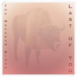 Last of You