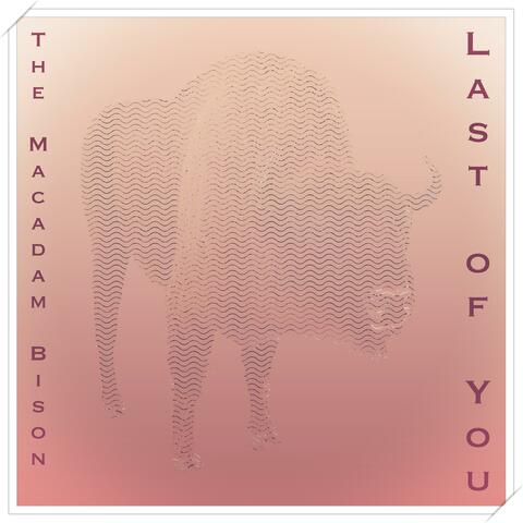 Last of You