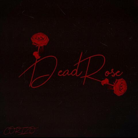 Dead Rose
