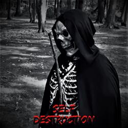 Self Destruction