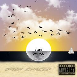 Black Summer