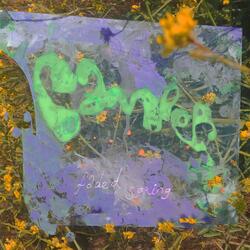 Faded Spring