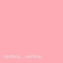 Sambou Sambou