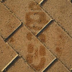 Careless (feat. Cmoon, H.Grue & IllInk)