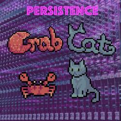 Persistence