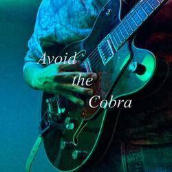 Avoid the Cobra