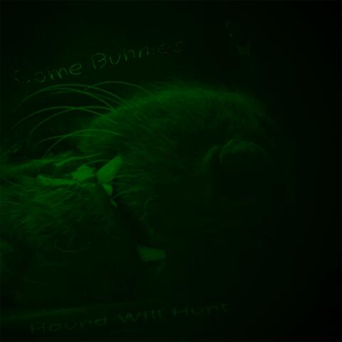 Hound Will Hunt