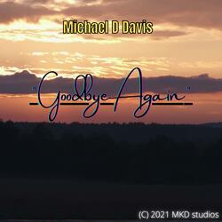 Goodbye Again