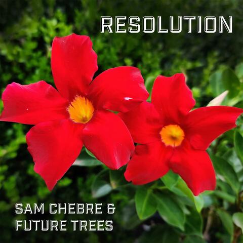 Resolution (feat. Sam Chebre)