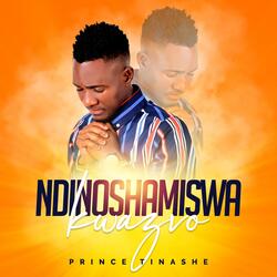 Ndinoshamiswa Kwazvo