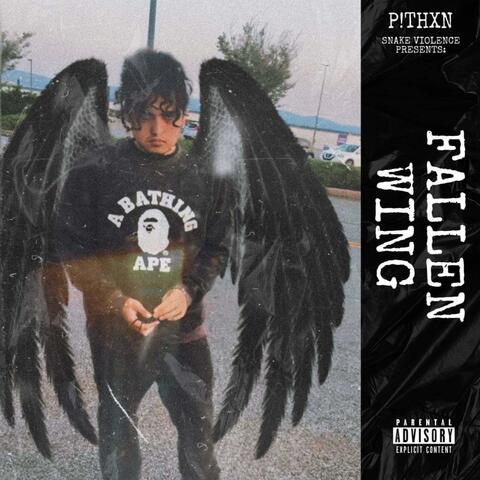 Fallen Wing