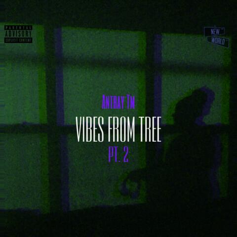 Vibes From Tree, Pt. 2
