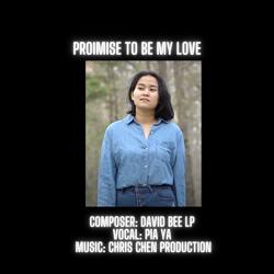 Promise To Be My Love