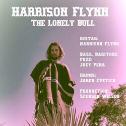 The Lonely Bull