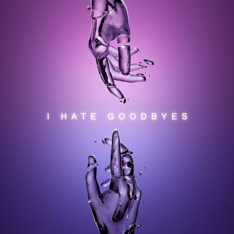 I Hate Goodbyes