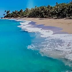 The beach