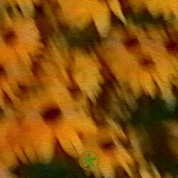 nail polish (feat. Jxsse9)