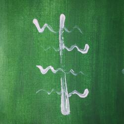 Mountains of Judgement