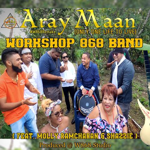 Aray Maan (Chutney Soca) [Only One Life to Live] (feat. Molly Ramcharan)