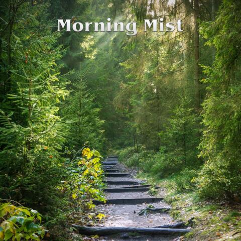 Morning Mist
