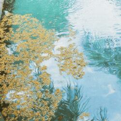 Reflections