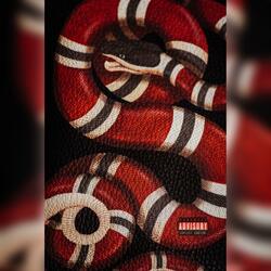 Snakes In The Grass (feat. Terio Kwame)