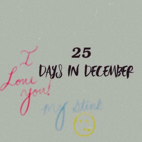 25 Days In December