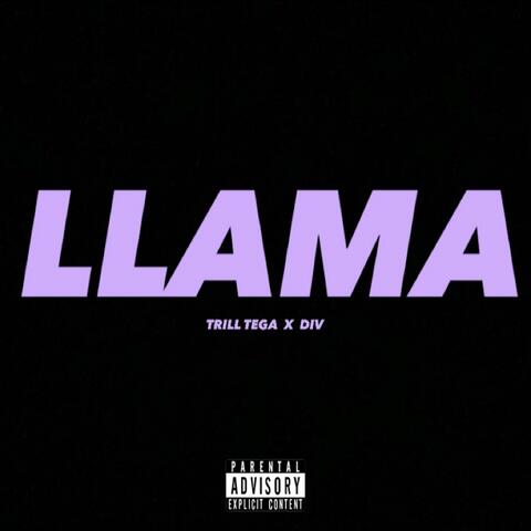 LLAMA
