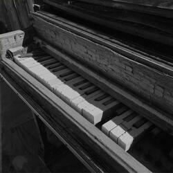 Blackbird